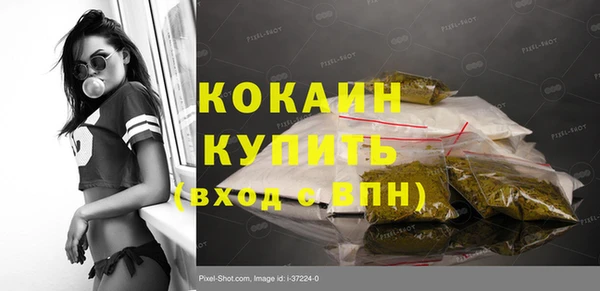 гашик Арсеньев