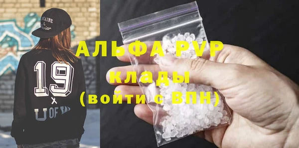 гашик Арсеньев