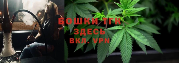 гашик Арсеньев