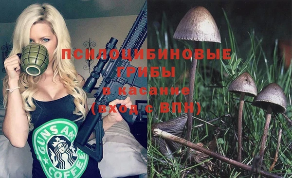 гашик Армянск