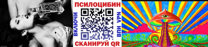 Псилоцибиновые грибы Psilocybe  как найти закладки  Ревда 